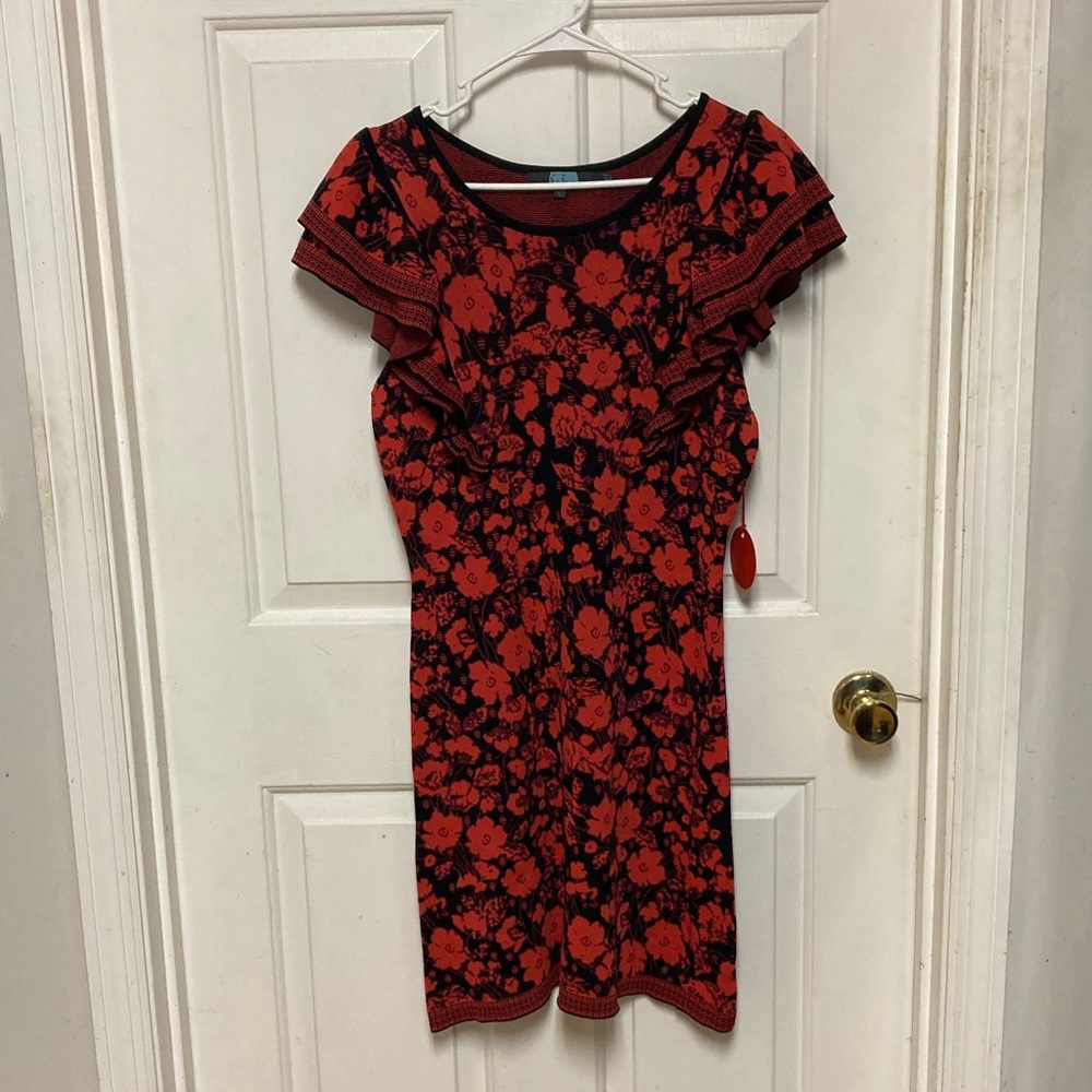 Eva Franco Red and Black Floral Ruffle-Sleeve Mini Dress